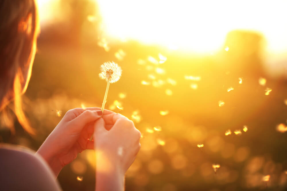 5 sustainability trends that shape the economy